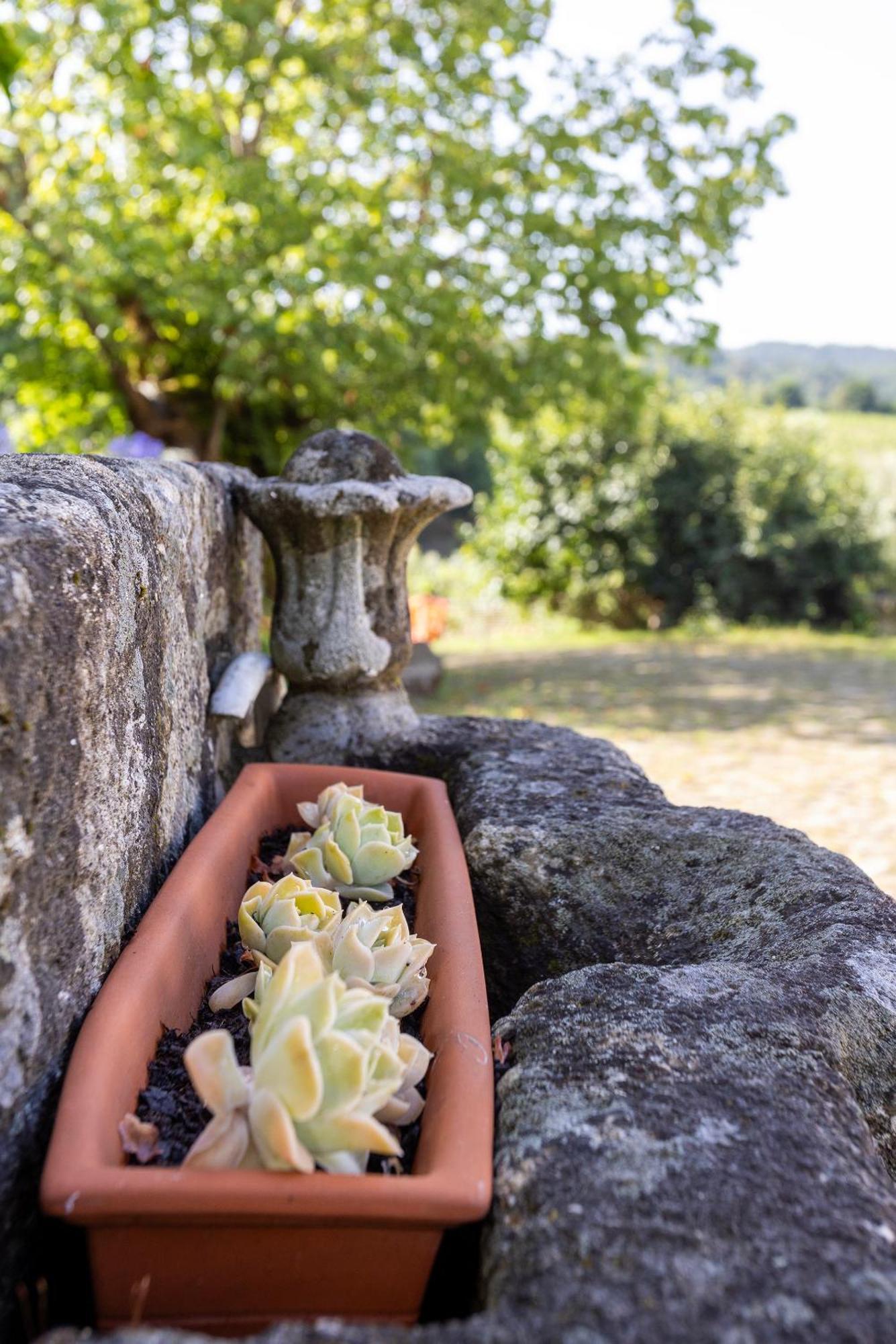Quinta Da Comenda Sao Pedro do Sul Luaran gambar