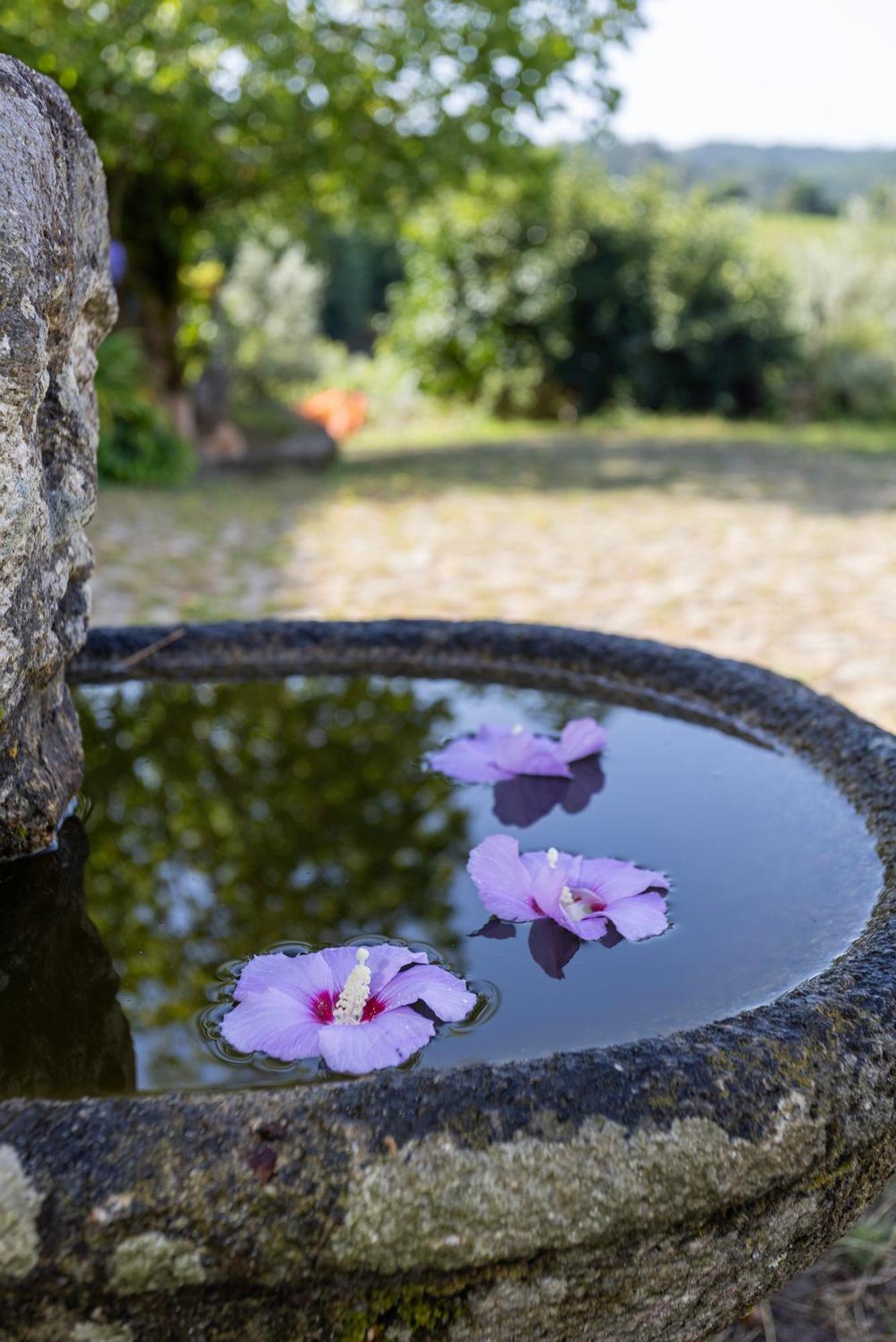 Quinta Da Comenda Sao Pedro do Sul Luaran gambar