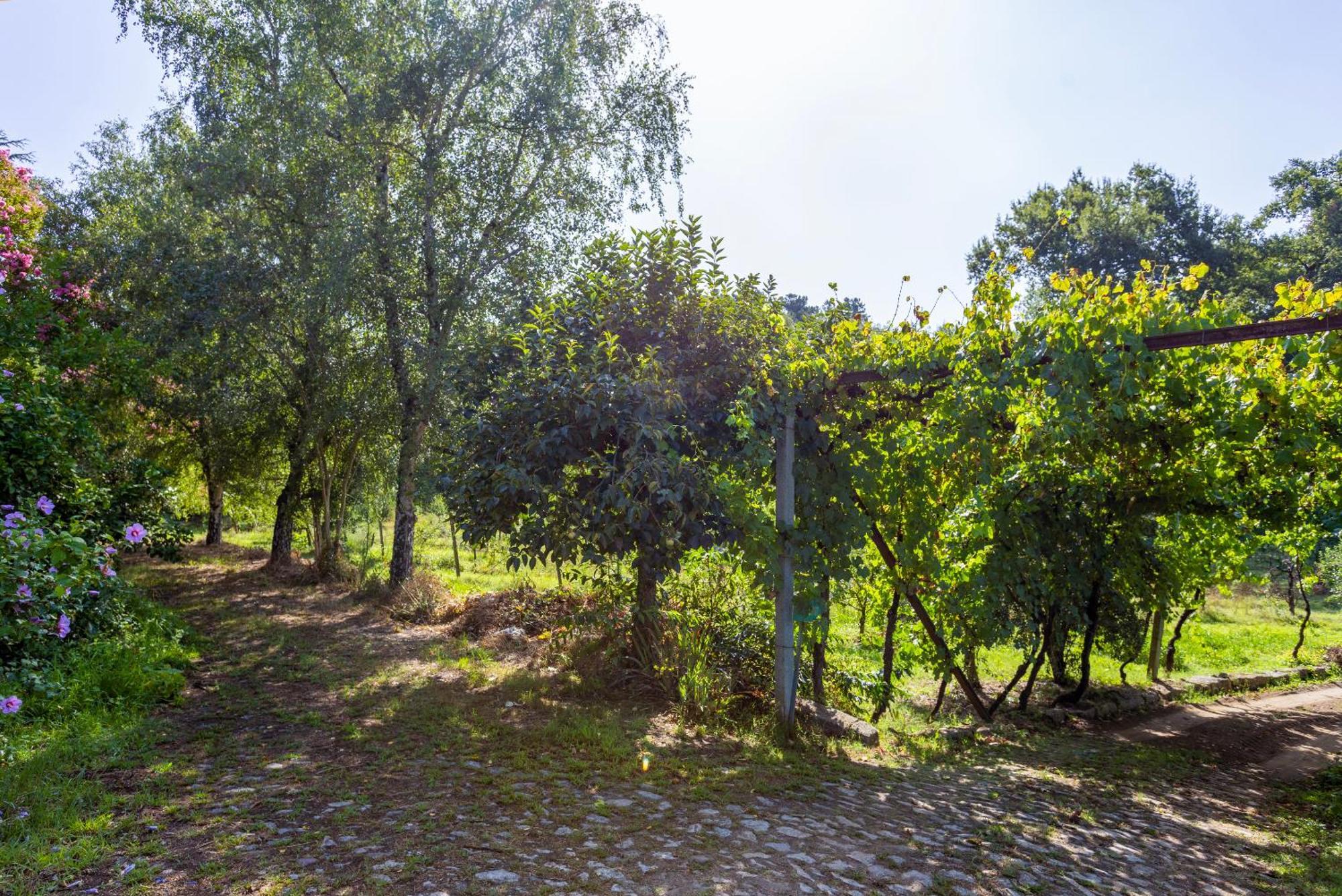 Quinta Da Comenda Sao Pedro do Sul Luaran gambar