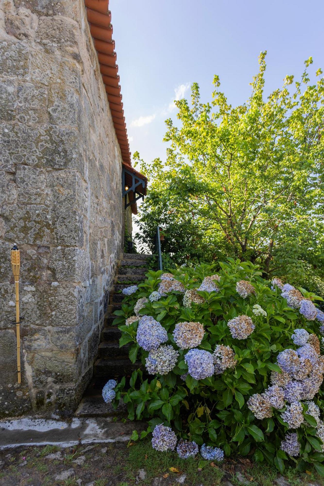 Quinta Da Comenda Sao Pedro do Sul Luaran gambar
